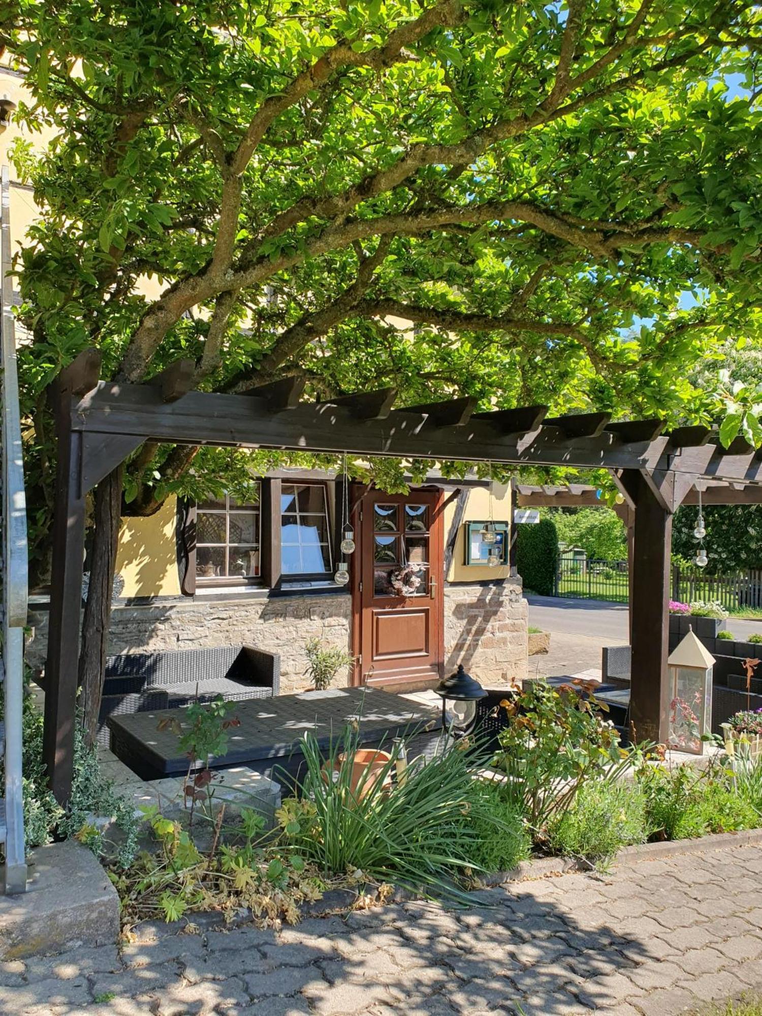 Pension Waldblick Grillenberg  Esterno foto