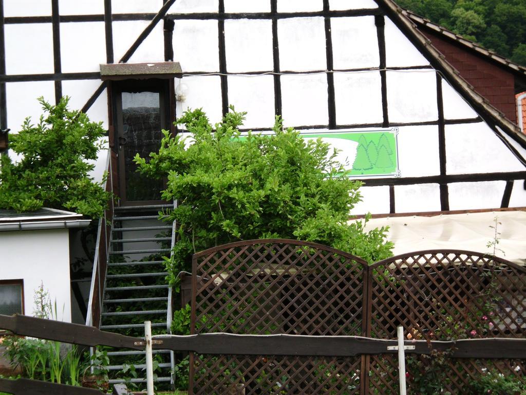 Pension Waldblick Grillenberg  Esterno foto